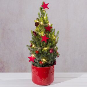 Decorated Festive Christmas Tree