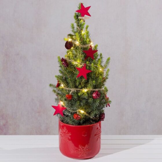 Decorated Festive Christmas Tree